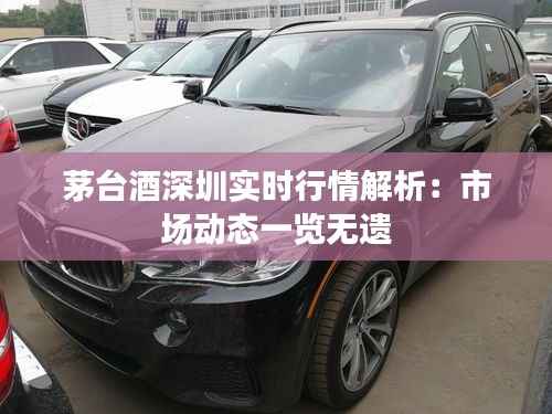 茅台酒深圳实时行情解析：市场动态一览无遗