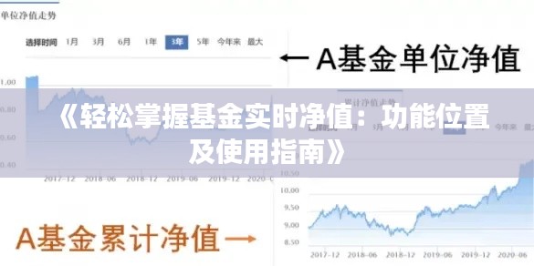 《轻松掌握基金实时净值：功能位置及使用指南》