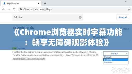 《Chrome浏览器实时字幕功能:畅享无障碍观影体验》