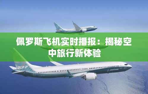 佩罗斯飞机实时播报：揭秘空中旅行新体验