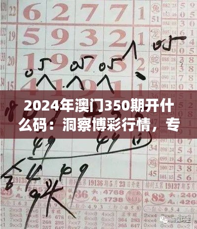 2024年澳门350期开什么码：洞察博彩行情，专业分析带你把握胜算