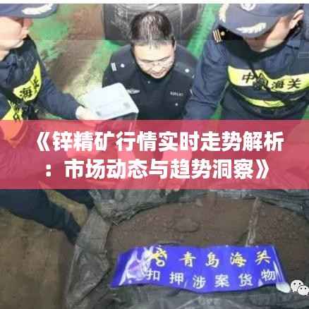 《锌精矿行情实时走势解析：市场动态与趋势洞察》