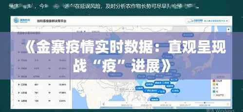 《金寨疫情实时数据：直观呈现战“疫”进展》