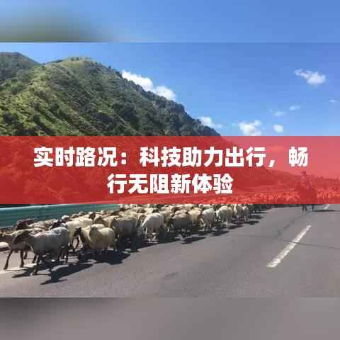 实时路况：科技助力出行，畅行无阻新体验