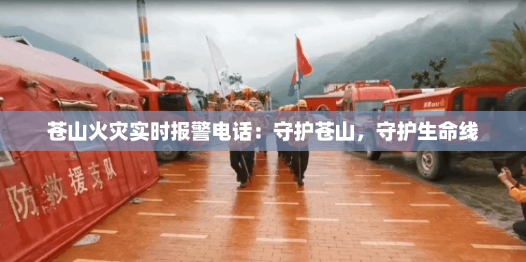 苍山火灾实时报警电话：守护苍山，守护生命线