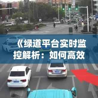 《绿道平台实时监控解析：如何高效掌握绿道动态》