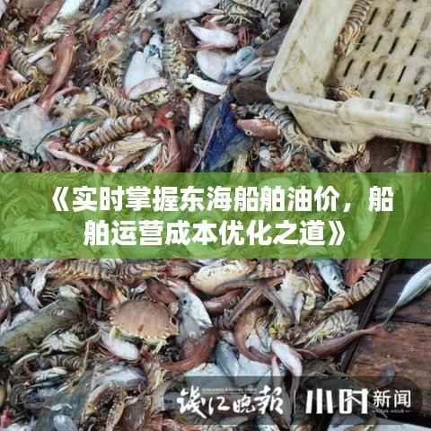 《实时掌握东海船舶油价，船舶运营成本优化之道》