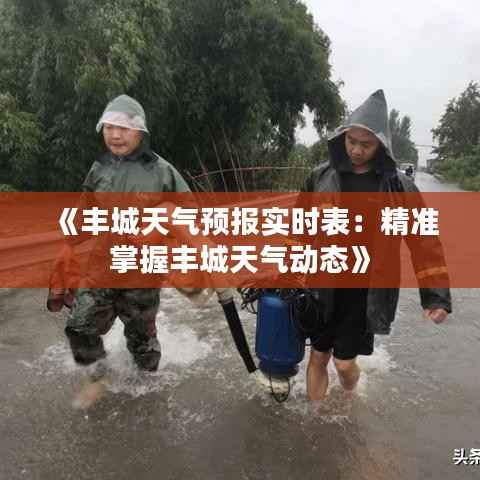 《丰城天气预报实时表：精准掌握丰城天气动态》