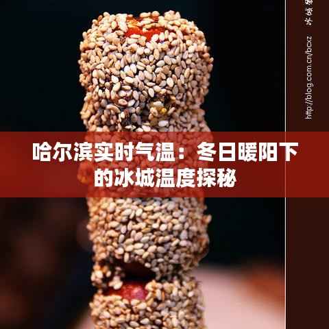 哈尔滨实时气温：冬日暖阳下的冰城温度探秘