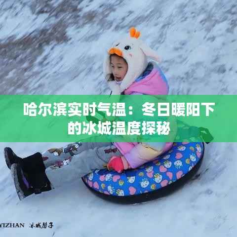 哈尔滨实时气温:冬日暖阳下的冰城温度探秘