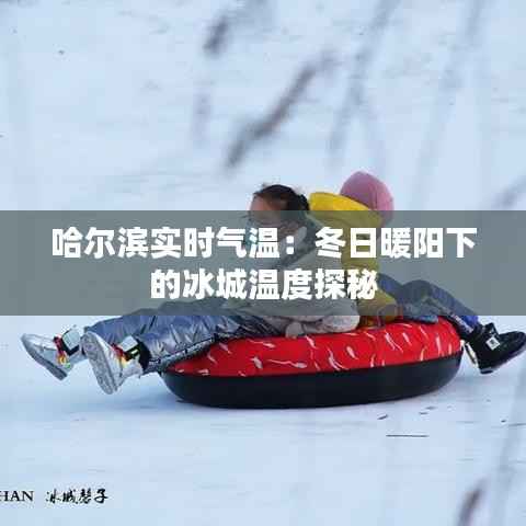 哈尔滨实时气温:冬日暖阳下的冰城温度探秘