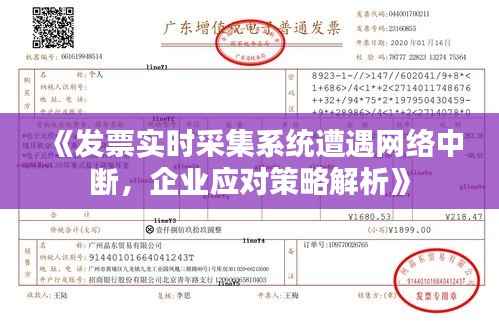 《发票实时采集系统遭遇网络中断，企业应对策略解析》