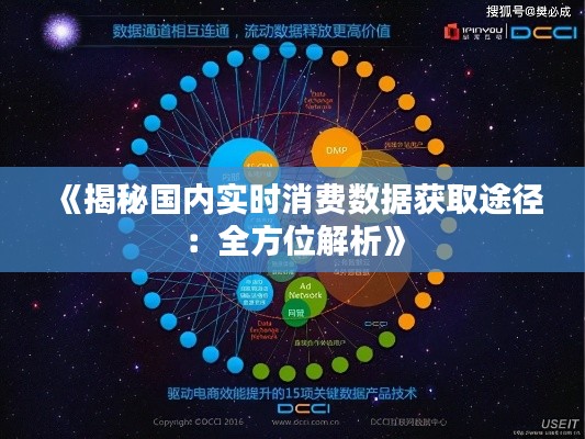《揭秘国内实时消费数据获取途径：全方位解析》