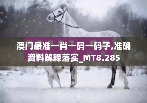 澳门最准一肖一码一码孑,准确资料解释落实_MT8.285