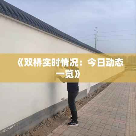 《双桥实时情况：今日动态一览》