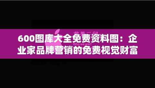 600图库大全免费资料图：企业家品牌营销的免费视觉财富