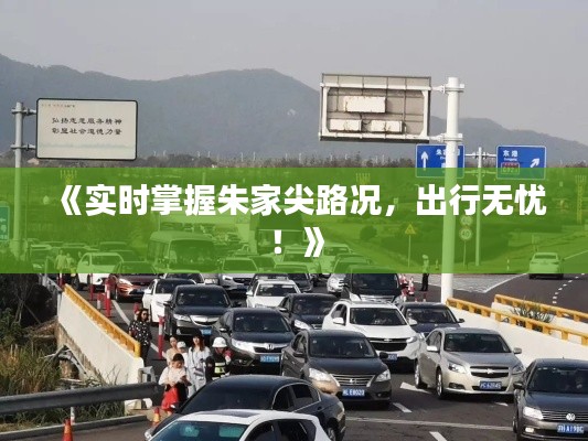 《实时掌握朱家尖路况，出行无忧！》