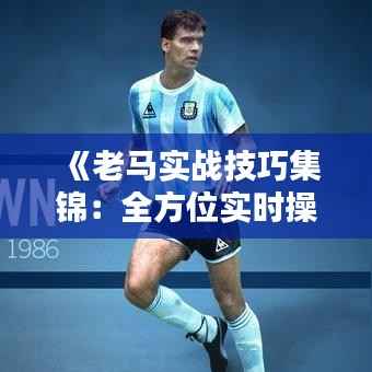 《老马实战技巧集锦：全方位实时操作视频解析》