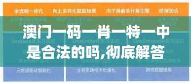 澳门一码一肖一特一中是合法的吗,彻底解答解释落实_XP17.914