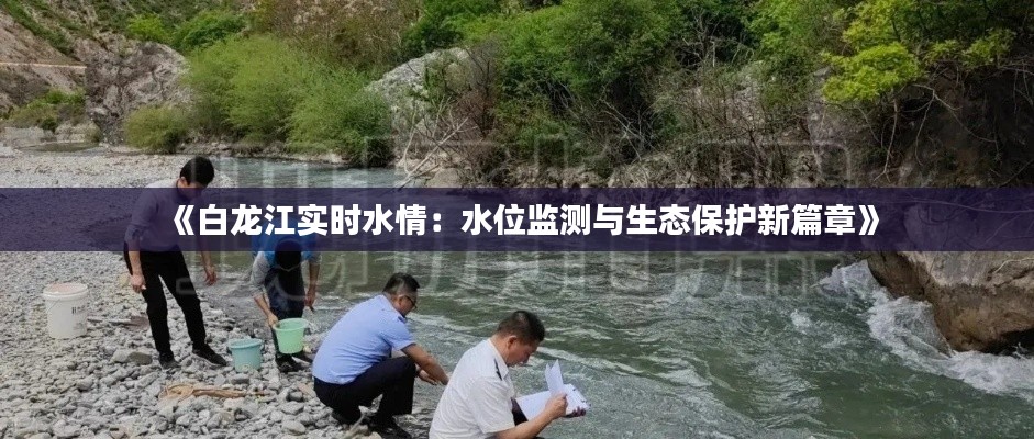 《白龙江实时水情：水位监测与生态保护新篇章》
