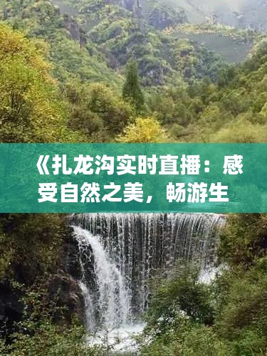 《扎龙沟实时直播：感受自然之美，畅游生态天堂》