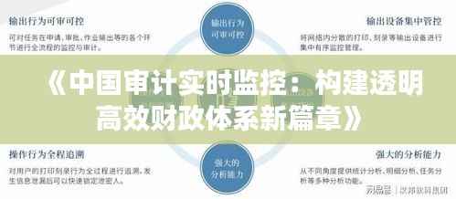 《中国审计实时监控：构建透明高效财政体系新篇章》