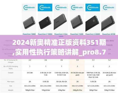 2024新奥精准正版资料351期,实用性执行策略讲解_pro8.730