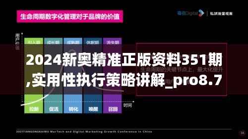 2024新奥精准正版资料351期,实用性执行策略讲解_pro8.730