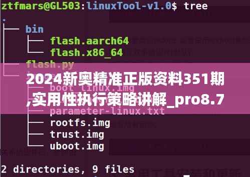 2024新奥精准正版资料351期,实用性执行策略讲解_pro8.730