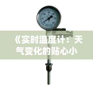 《实时温度计：天气变化的贴心小助手》