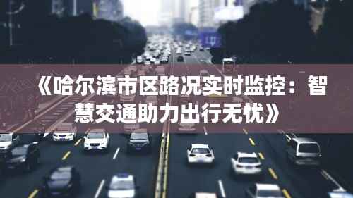 《哈尔滨市区路况实时监控：智慧交通助力出行无忧》