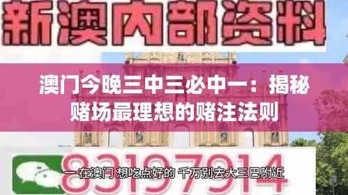 澳门今晚三中三必中一:揭秘赌场最理想的赌注法则