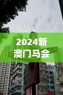 2024新澳门马会传真：传统与创新的碰撞，澳门赛马文化的繁荣景象