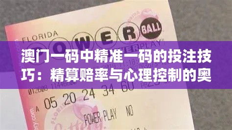 澳门一码中精准一码的投注技巧：精算赔率与心理控制的奥义