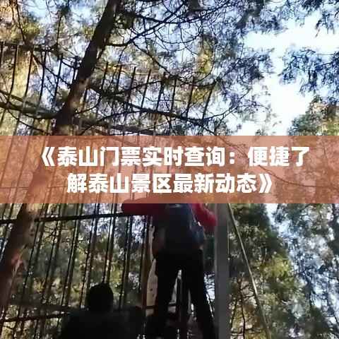 《泰山门票实时查询:便捷了解泰山景区最新动态》