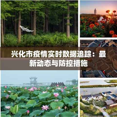 兴化市疫情实时数据追踪：最新动态与防控措施