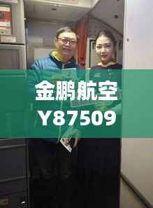 金鹏航空Y87509航班实时动态追踪：揭秘空中之旅