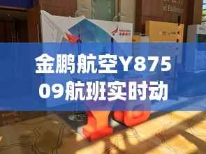 金鹏航空Y87509航班实时动态追踪:揭秘空中之旅
