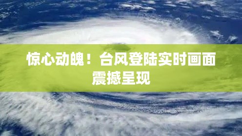 惊心动魄！台风登陆实时画面震撼呈现