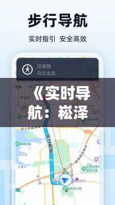 《实时导航:崧泽高架路线图解析与动态追踪》