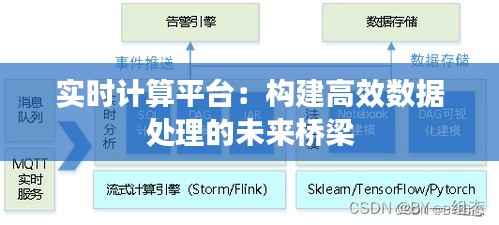 实时计算平台:构建高效数据处理的未来桥梁