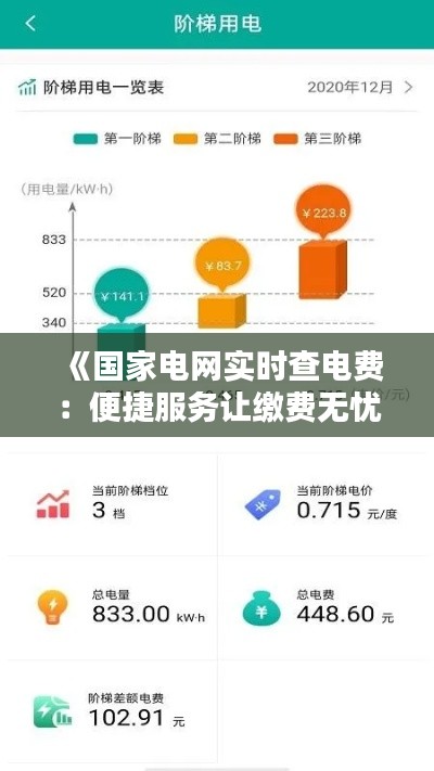 《国家电网实时查电费：便捷服务让缴费无忧》