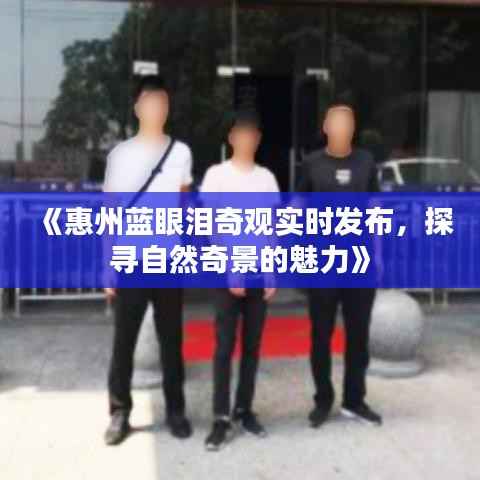 《惠州蓝眼泪奇观实时发布，探寻自然奇景的魅力》