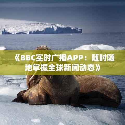《BBC实时广播APP：随时随地掌握全球新闻动态》