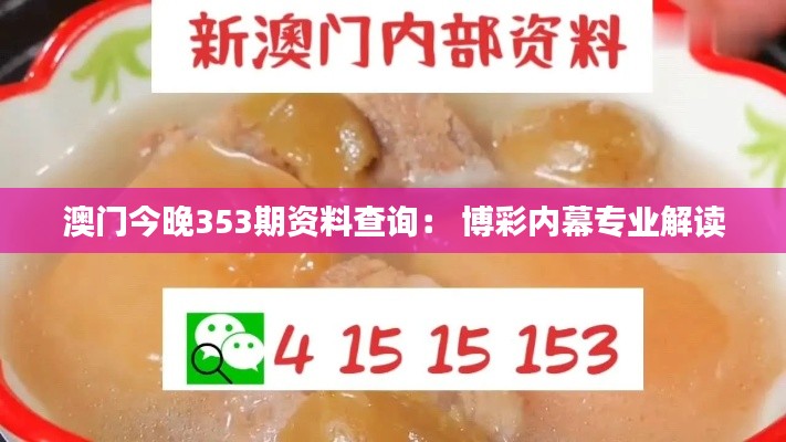 澳门今晚353期资料查询: 博彩内幕专业解读