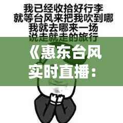 《惠东台风实时直播：惊心动魄的回放瞬间》