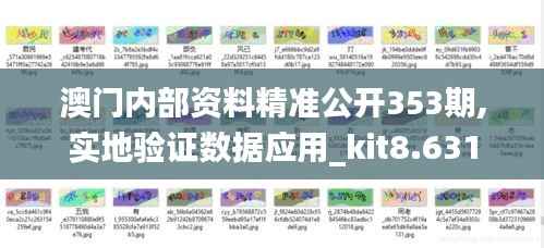 澳门内部资料精准公开353期,实地验证数据应用_kit8.631