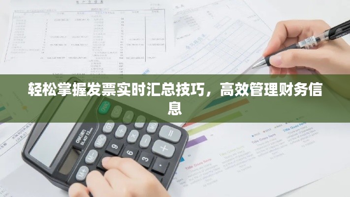 轻松掌握发票实时汇总技巧，高效管理财务信息