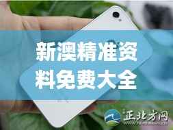 新澳精准资料免费大全353期,深入数据执行策略_iPhone4.110