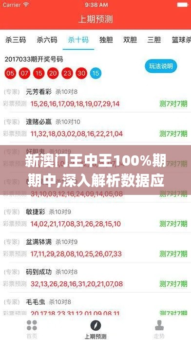 新澳门王中王100%期期中,深入解析数据应用_复刻版17.214
